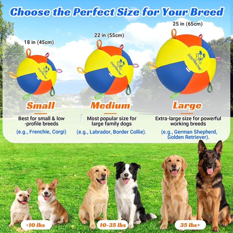 Lumnix™ Dog Herding Ball